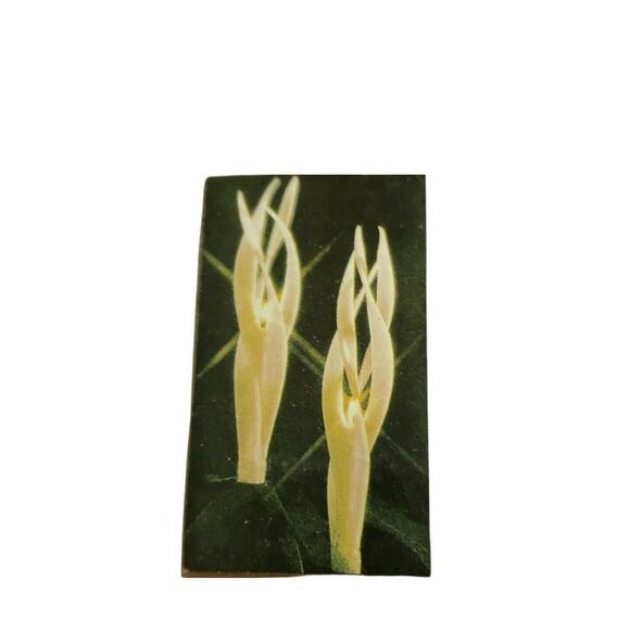 Robert Alan Candle Co Swirl Feather Taper Set Holly Decal On Ivory / Gold Trim - Picture 2 of 6